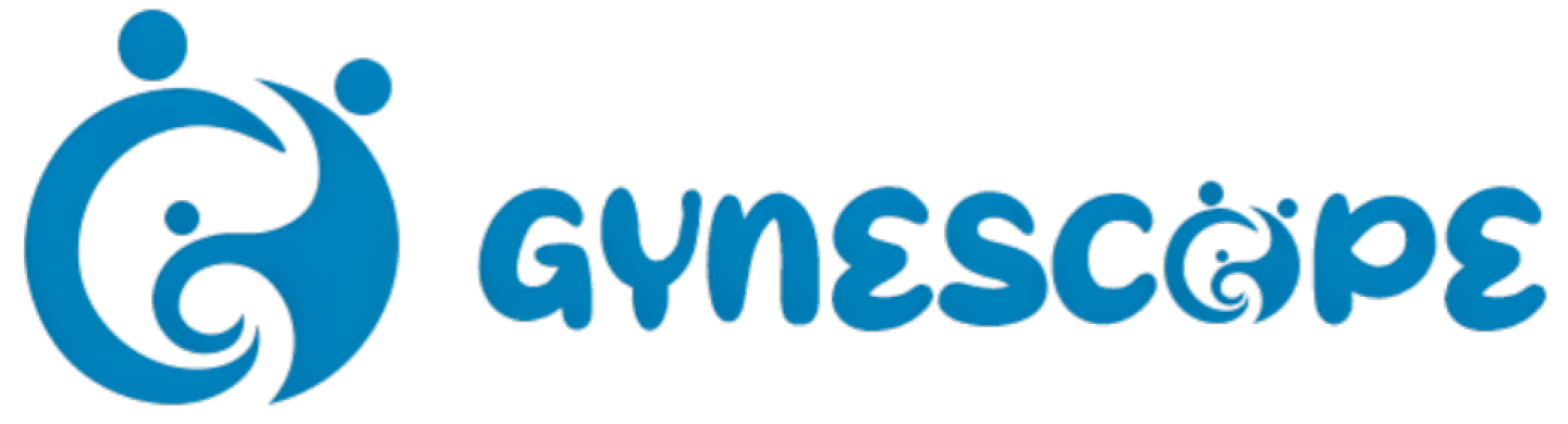 kingsoo logo